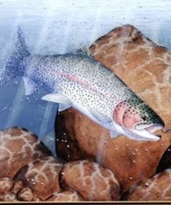 Trouts Fly Fishing The Colorado River Fishing Map And Floaters Guide BOOKS & DVDS