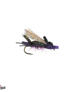 Umpqua Feather Merchants Umpqua Amy's Ant