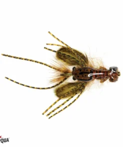 Umpqua Feather Merchants Umpqua Creek Crawler TROUT