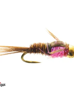 Umpqua Feather Merchants Umpqua Hot Belly Pheasant Tail Gold Bead 7 Umpqua Feather Merchants Umpqua Hot Belly Pheasant Tail Gold Bead