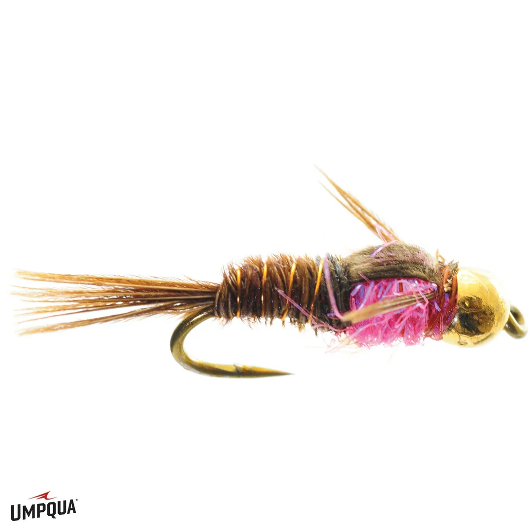 Umpqua Feather Merchants Umpqua Hot Belly Pheasant Tail Gold Bead 5 Umpqua Feather Merchants Umpqua Hot Belly Pheasant Tail Gold Bead