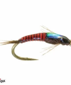 Umpqua Feather Merchants TROUT Umpqua Juju PMD
