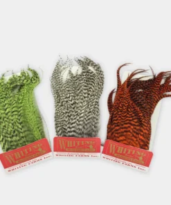 Whiting Wooly Bugger Pack