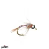 Umpqua Feather Merchants Umpqua Rainbow Warrior CDC Tungsten TROUT 2 Umpqua Feather Merchants Umpqua Rainbow Warrior CDC Tungsten TROUT
