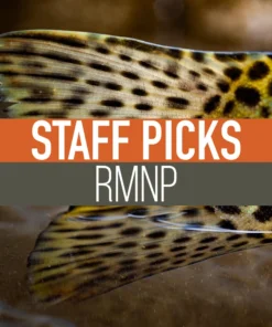 Umpqua Feather Merchants Staff Picked Trout Flies - Rocky Mountain National Park: Lakes