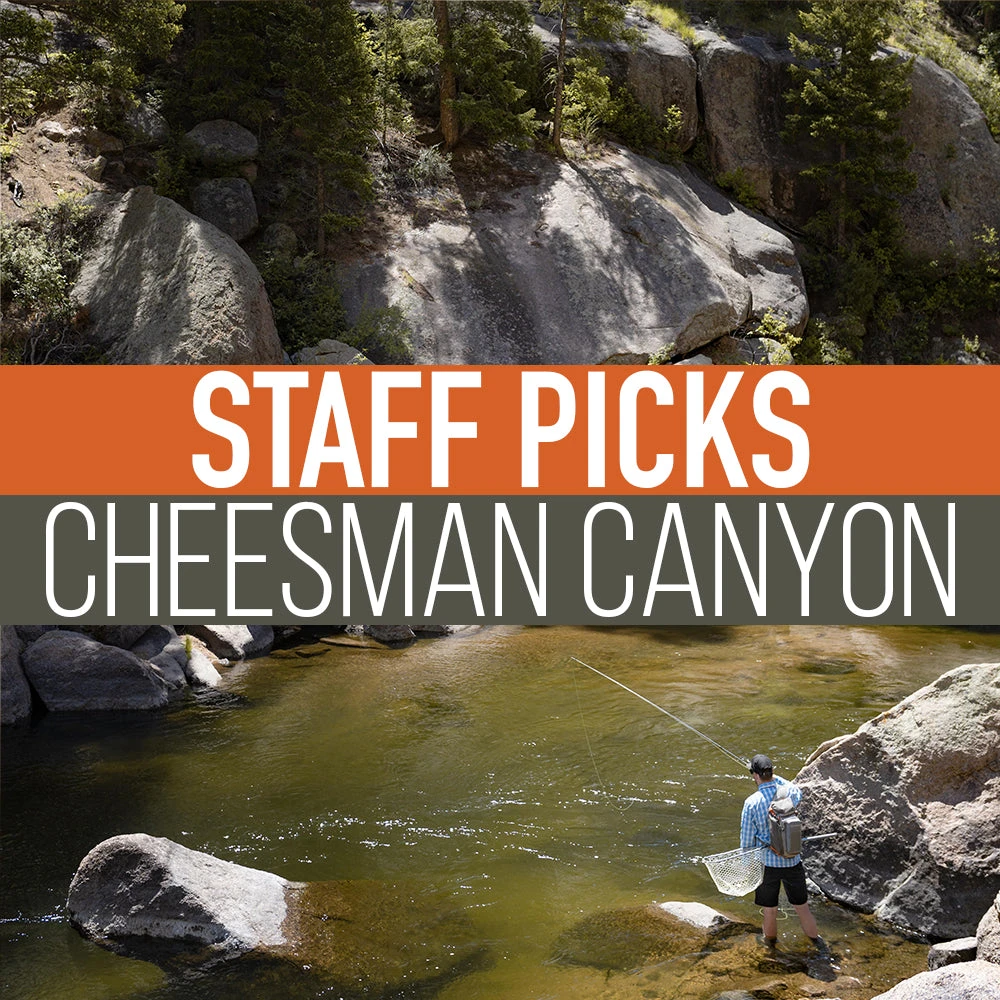 Umpqua Feather Merchants Staff Picked Trout Flies - Cheesman Canyon 3 Umpqua Feather Merchants Staff Picked Trout Flies - Cheesman Canyon