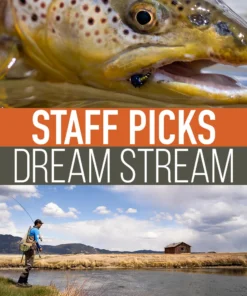 Umpqua Feather Merchants Staff Picked Trout Flies - Dream Stream