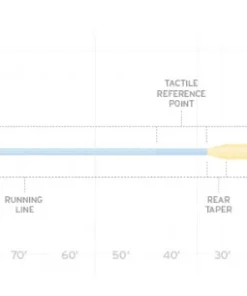 Scientific Anglers Amplitude Big Water Taper Fly Line