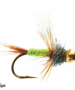 Umpqua Feather Merchants TROUT Umpqua Tak's GO2 Caddis