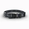 ACCESSORIES Rep Your Water Dry Or Die Dog Collar