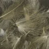 TYING MATERIALS Hareline UV2 Select CDC Feathers 1 TYING MATERIALS Hareline UV2 Select CDC Feathers