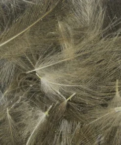 TYING MATERIALS Hareline UV2 Select CDC Feathers