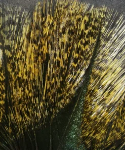 Hareline Coq De Leon Speckled Pardo FLY TYING