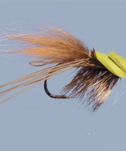 WARM WATER Rainy's Goggle Eyed Gurgler