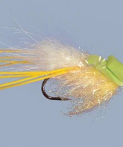 WARM WATER Rainy's Goggle Eyed Gurgler 7 WARM WATER Rainy's Goggle Eyed Gurgler