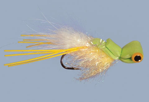 WARM WATER Rainy's Goggle Eyed Gurgler 5 WARM WATER Rainy's Goggle Eyed Gurgler