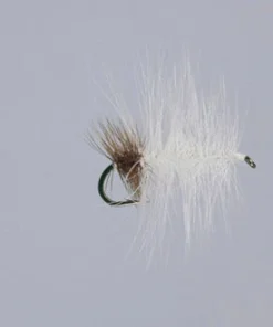 WARM WATER Rainy's Cottonwood Seed