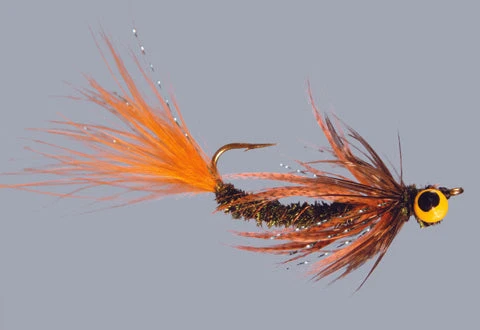 WARM WATER Rainy's Carp Breakfast 3 WARM WATER Rainy's Carp Breakfast