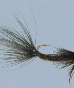 WARM WATER Rainy's Carp Breakfast