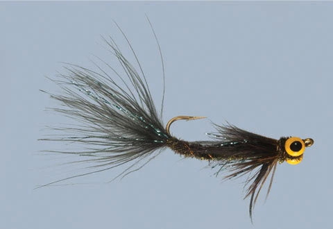 WARM WATER Rainy's Carp Breakfast 4 WARM WATER Rainy's Carp Breakfast