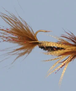 WARM WATER Rainy's Carp Breakfast 8 WARM WATER Rainy's Carp Breakfast