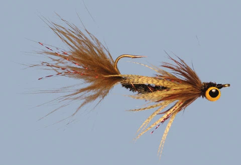 WARM WATER Rainy's Carp Breakfast 5 WARM WATER Rainy's Carp Breakfast