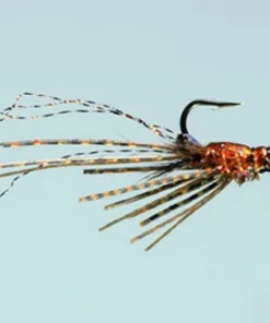 Rainy's Crawdad Craig