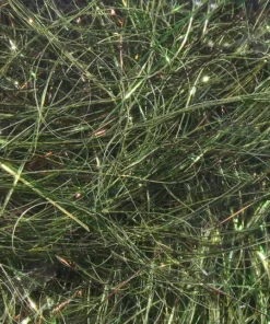 Hareline Ice Wing Fiber FLY TYING