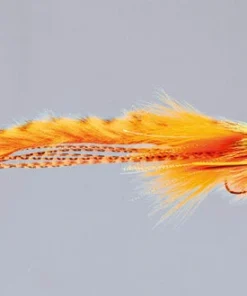 Rainy's Joom Deep Diver