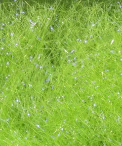 FLY TYING Hareline Ice Dubbing 48 FLY TYING Hareline Ice Dubbing