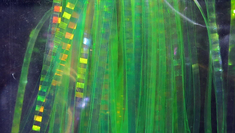 Hareline Lateral Scale 4 Hareline Lateral Scale