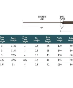Rio Products FRESHWATER FLY LINES RIO Mainstream Type 6 Full Sink Fly Line