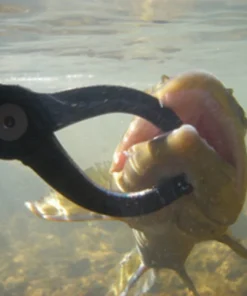 Rising Special Blend Lippa4Life TOOLS